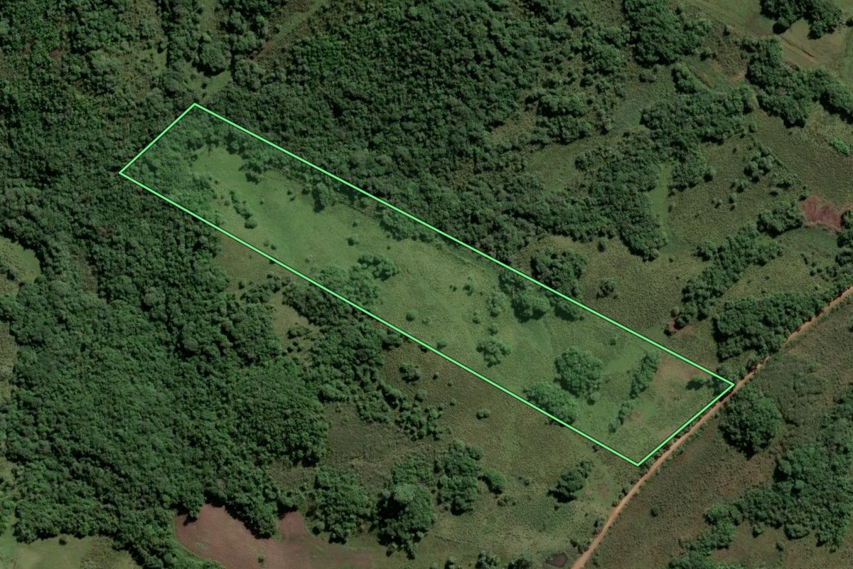 Imagem de satélite do imóvel rural em Encruzilhada do Sul (RS), com o contorno declarado no CAR desenhado por cima.