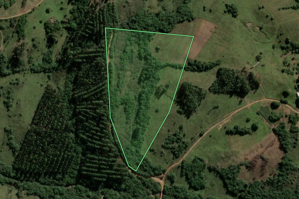 Imagem de satélite do imóvel rural em Encruzilhada do Sul (RS), com o contorno declarado no CAR desenhado por cima.