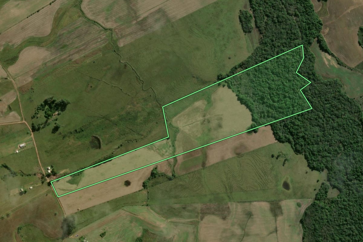 Imagem de satélite do imóvel rural em Encruzilhada do Sul (RS), com o contorno declarado no CAR desenhado por cima.