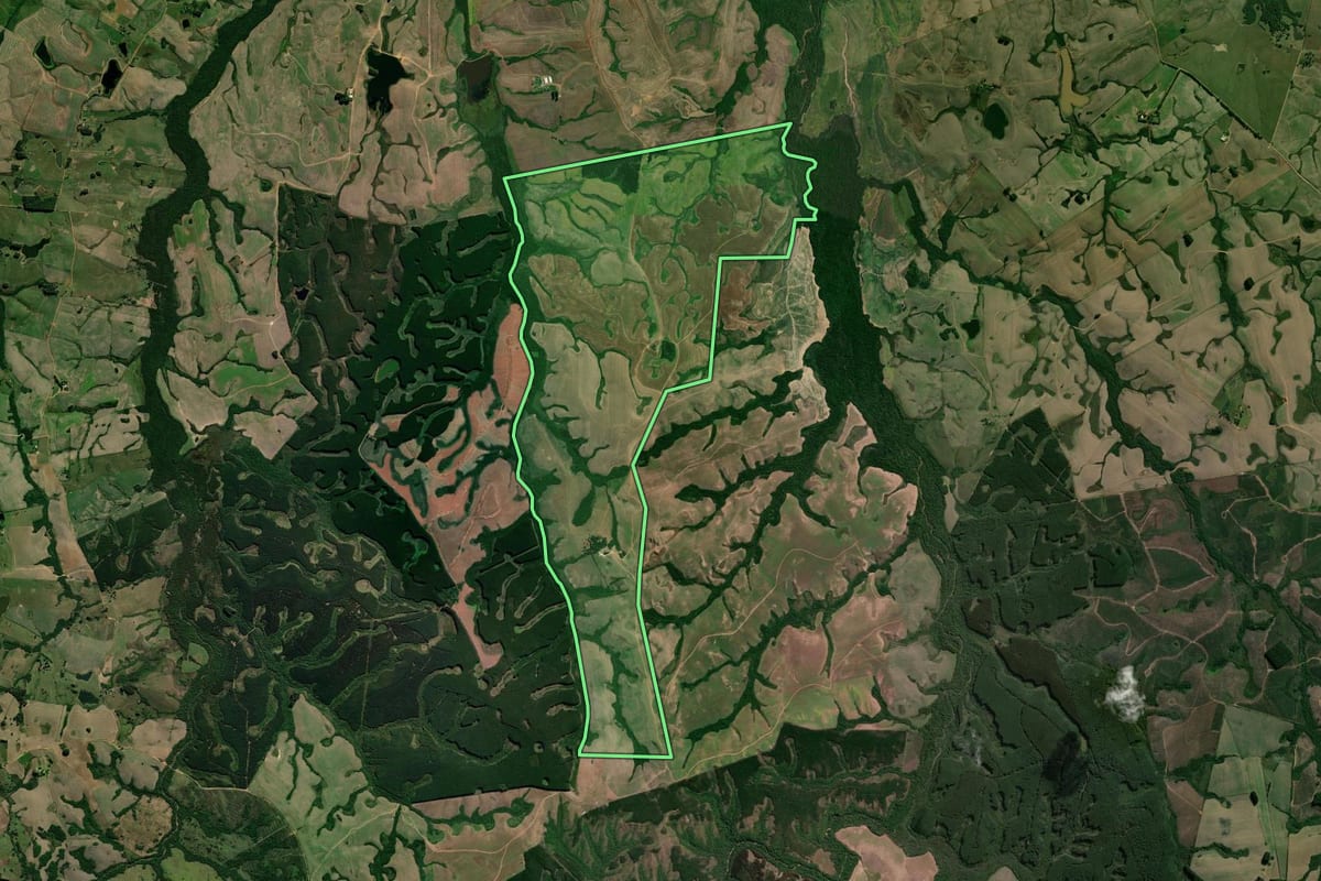 Imagem de satélite do imóvel rural em Encruzilhada do Sul (RS), com o contorno declarado no CAR desenhado por cima.
