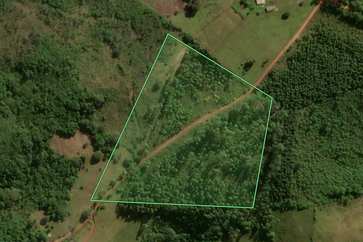 Imagem de satélite do imóvel rural em Encruzilhada do Sul (RS), com o contorno declarado no CAR desenhado por cima.