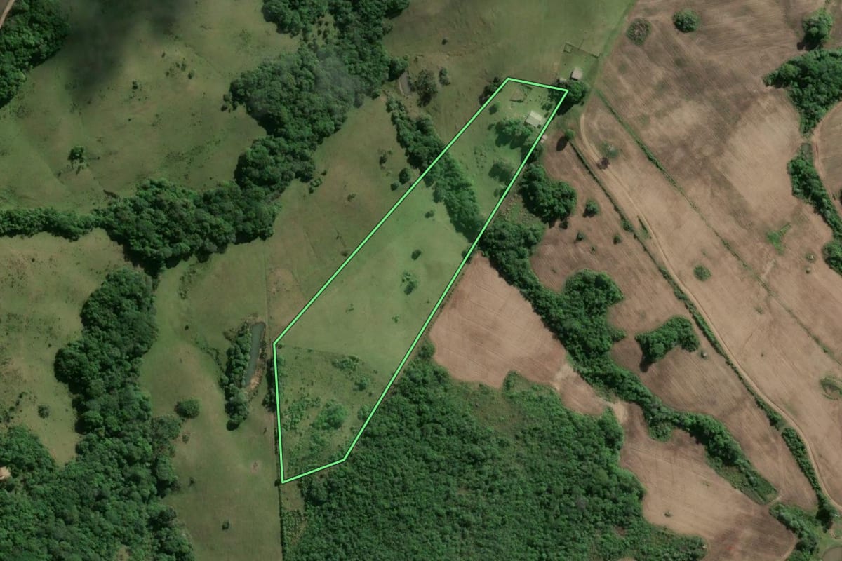 Imagem de satélite do imóvel rural em Encruzilhada do Sul (RS), com o contorno declarado no CAR desenhado por cima.