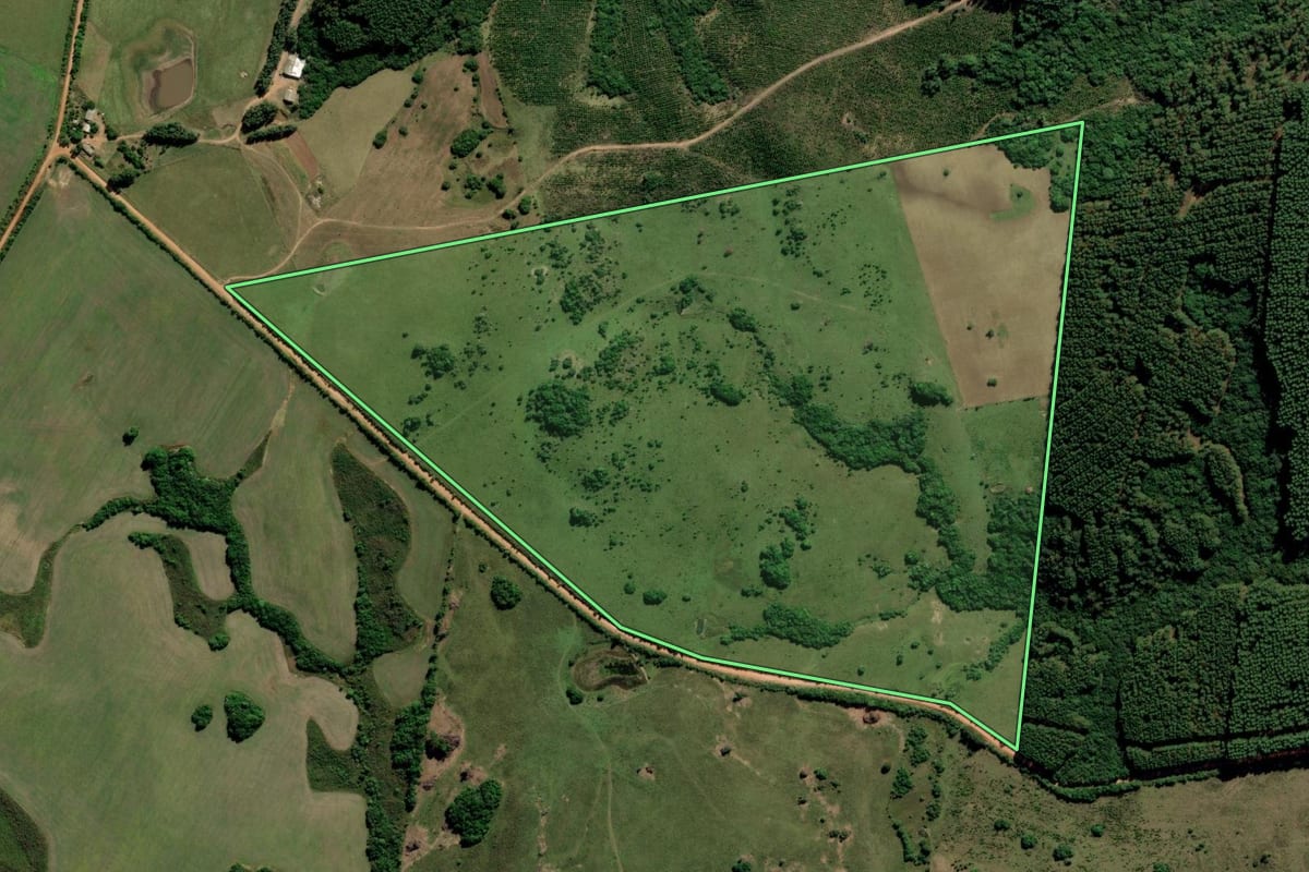 Imagem de satélite do imóvel rural em Encruzilhada do Sul (RS), com o contorno declarado no CAR desenhado por cima.