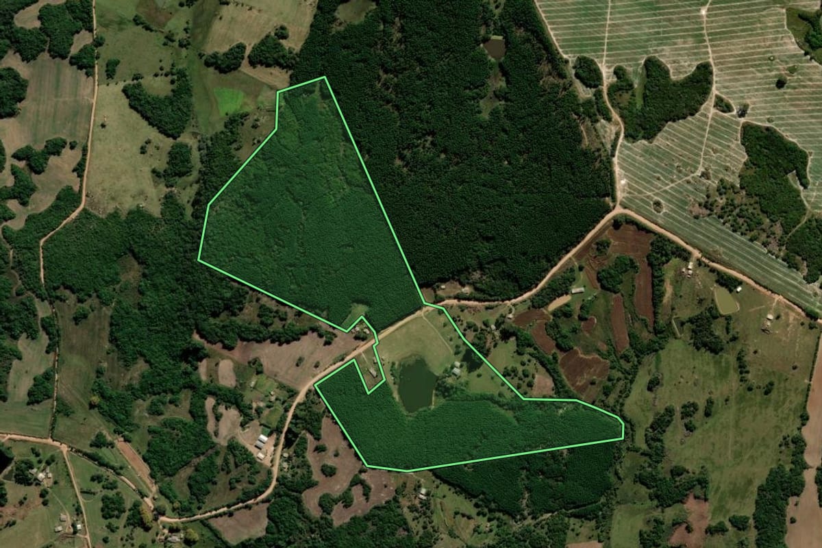 Imagem de satélite do imóvel rural em Encruzilhada do Sul (RS), com o contorno declarado no CAR desenhado por cima.
