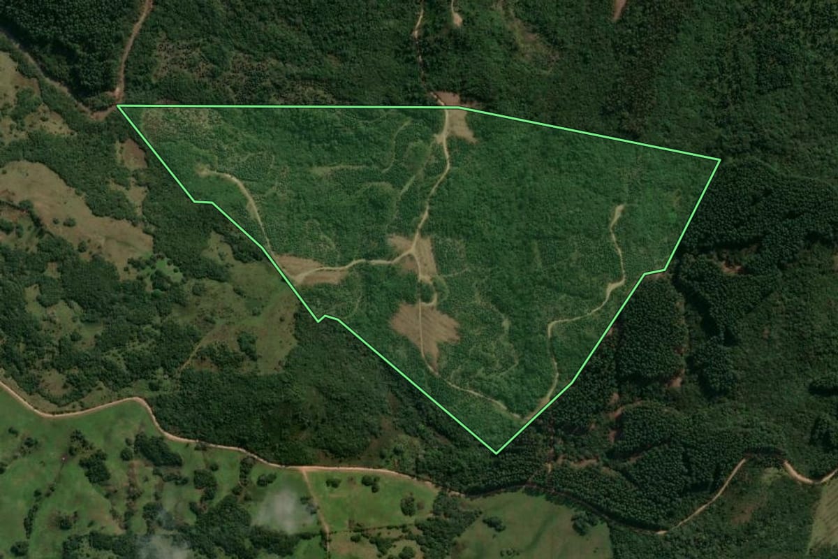 Imagem de satélite do imóvel rural em Encruzilhada do Sul (RS), com o contorno declarado no CAR desenhado por cima.