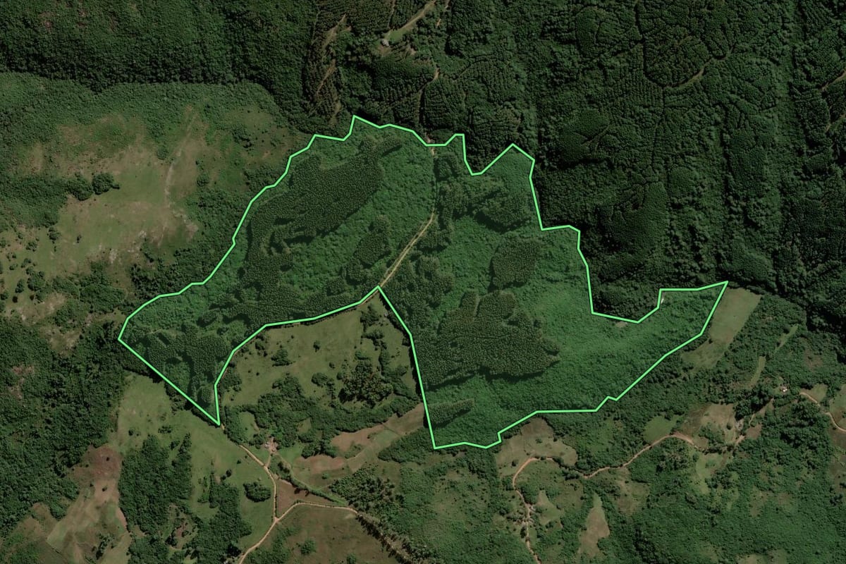 Imagem de satélite do imóvel rural em Encruzilhada do Sul (RS), com o contorno declarado no CAR desenhado por cima.