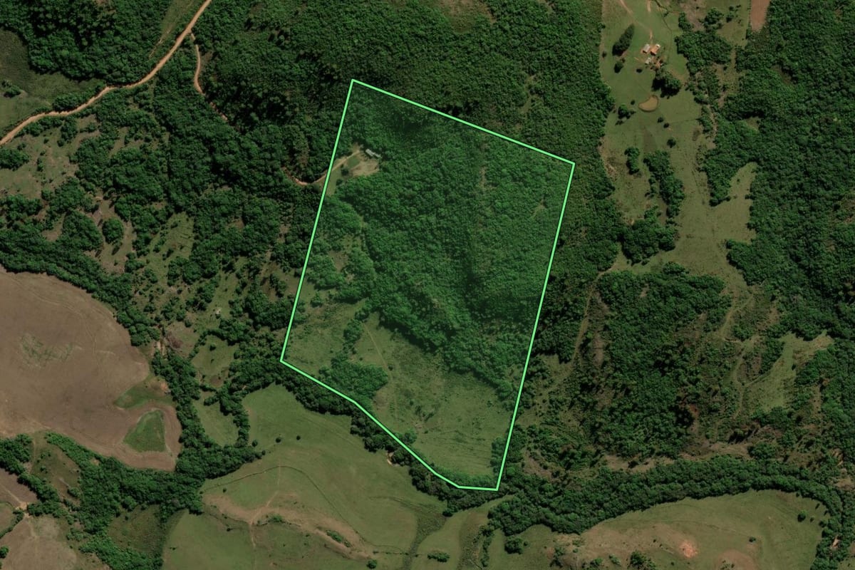 Imagem de satélite do imóvel rural em Encruzilhada do Sul (RS), com o contorno declarado no CAR desenhado por cima.