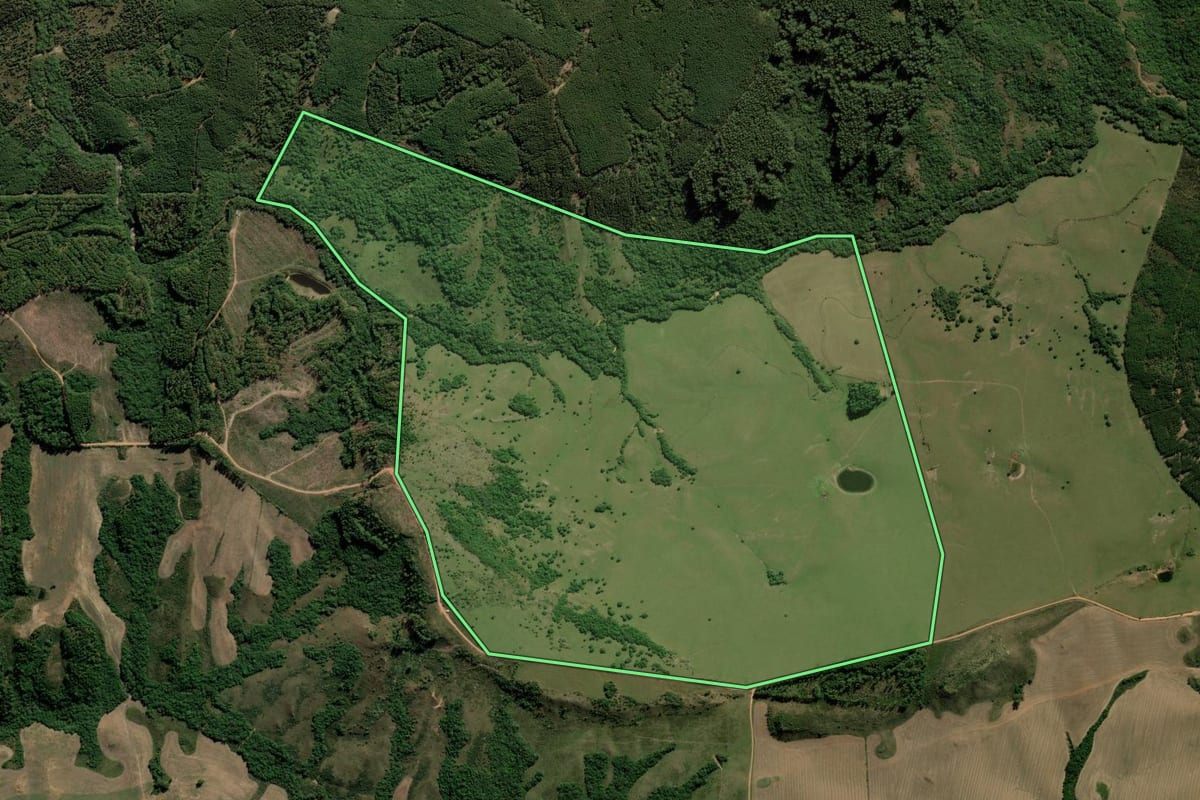 Imagem de satélite do imóvel rural em Encruzilhada do Sul (RS), com o contorno declarado no CAR desenhado por cima.
