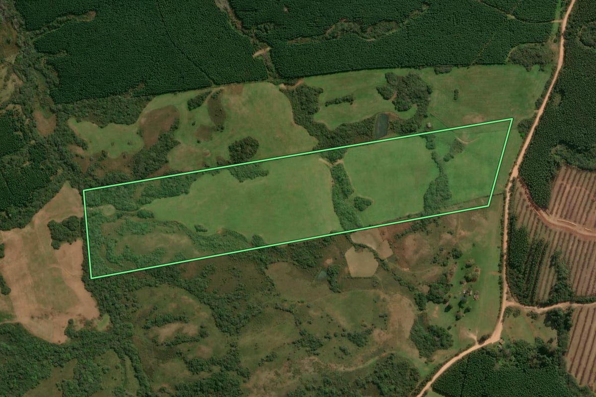 Imagem de satélite do imóvel rural em Encruzilhada do Sul (RS), com o contorno declarado no CAR desenhado por cima.