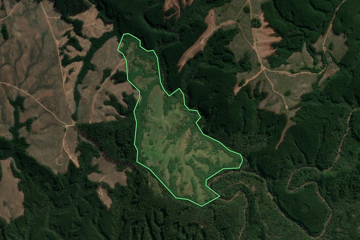 Imagem de satélite do imóvel rural em Encruzilhada do Sul (RS), com o contorno declarado no CAR desenhado por cima.