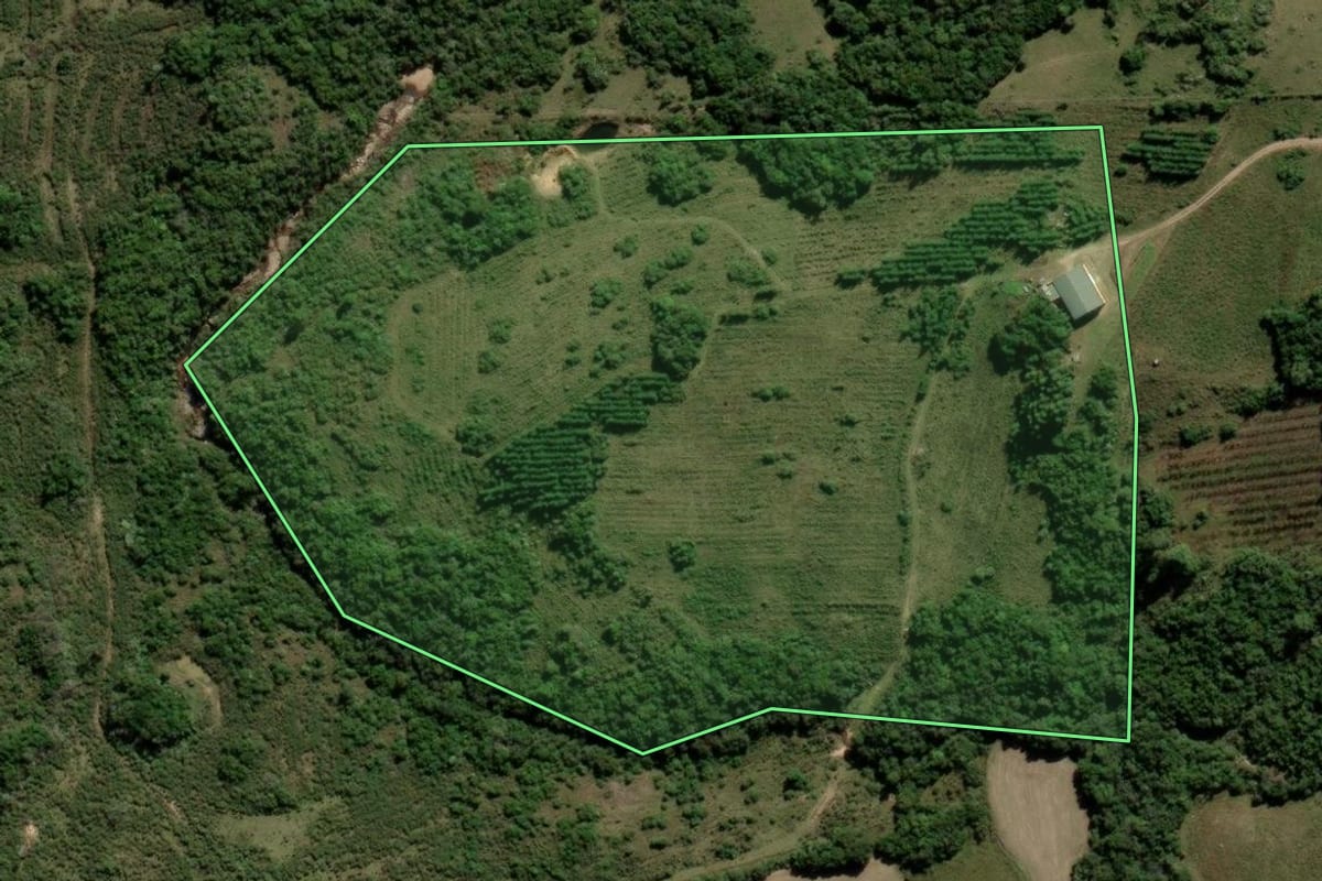 Imagem de satélite do imóvel rural em Encruzilhada do Sul (RS), com o contorno declarado no CAR desenhado por cima.