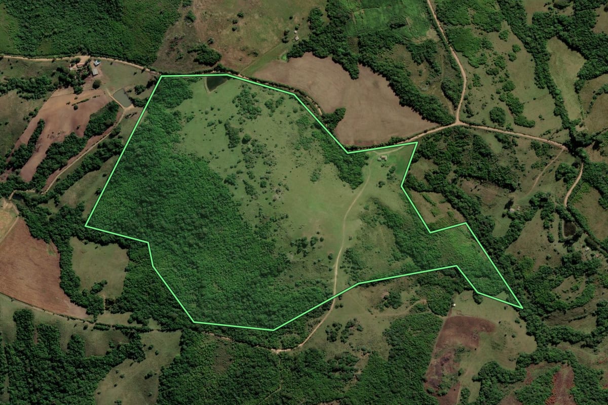 Imagem de satélite do imóvel rural em Encruzilhada do Sul (RS), com o contorno declarado no CAR desenhado por cima.