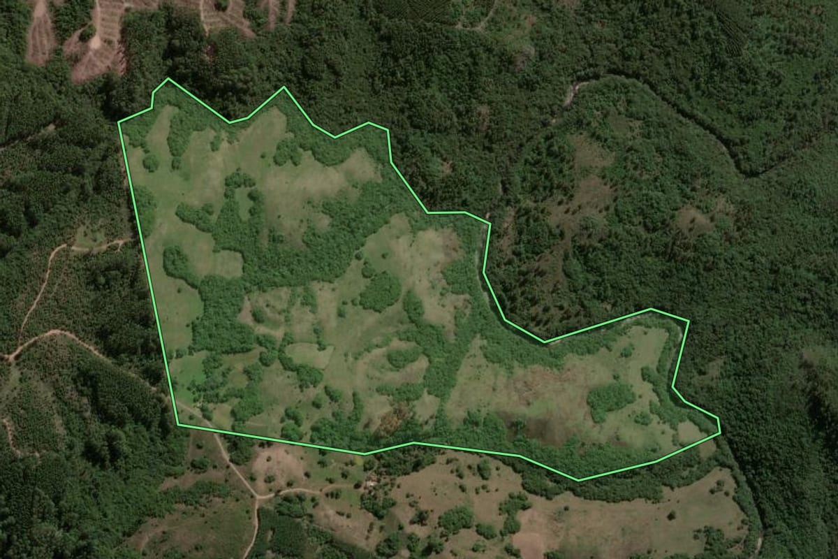 Imagem de satélite do imóvel rural em Encruzilhada do Sul (RS), com o contorno declarado no CAR desenhado por cima.