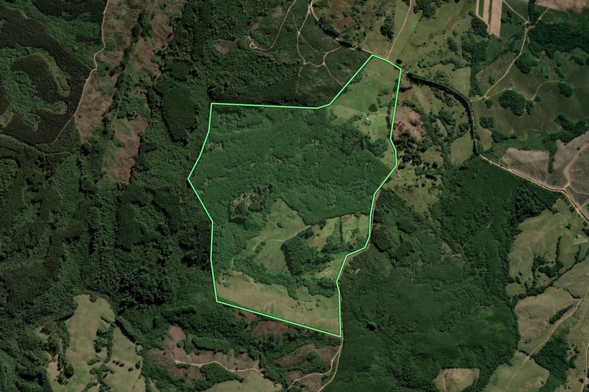 Imagem de satélite do imóvel rural em Encruzilhada do Sul (RS), com o contorno declarado no CAR desenhado por cima.