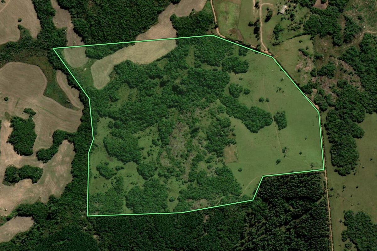 Imagem de satélite do imóvel rural em Encruzilhada do Sul (RS), com o contorno declarado no CAR desenhado por cima.