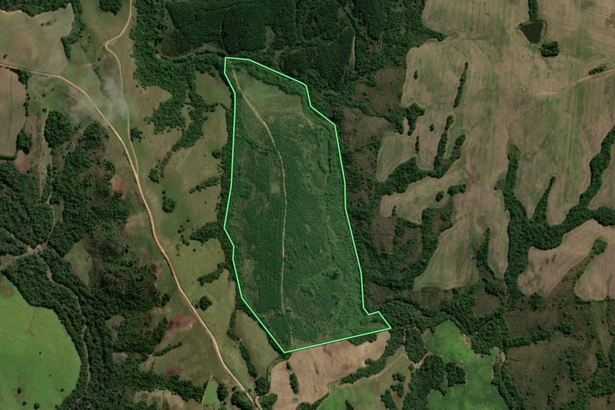 Imagem de satélite do imóvel rural em Encruzilhada do Sul (RS), com o contorno declarado no CAR desenhado por cima.