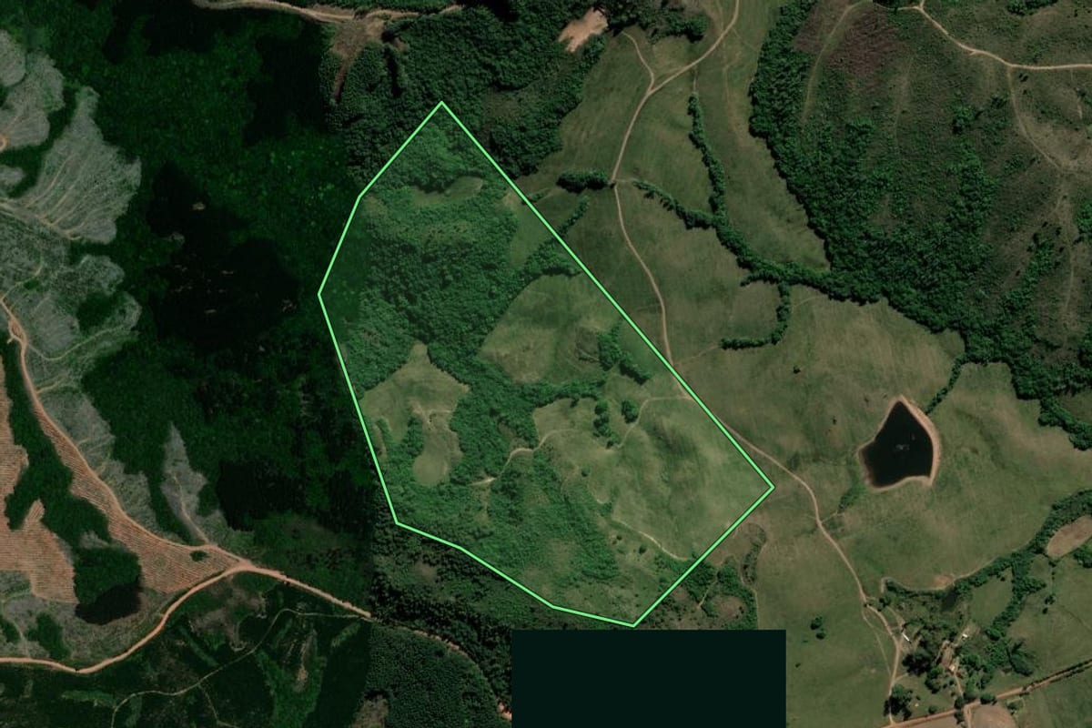 Imagem de satélite do imóvel rural em Encruzilhada do Sul (RS), com o contorno declarado no CAR desenhado por cima.