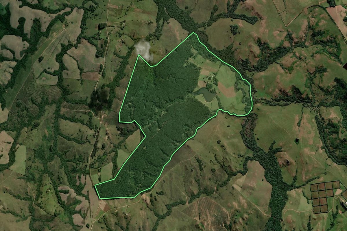 Imagem de satélite do imóvel rural em Encruzilhada do Sul (RS), com o contorno declarado no CAR desenhado por cima.