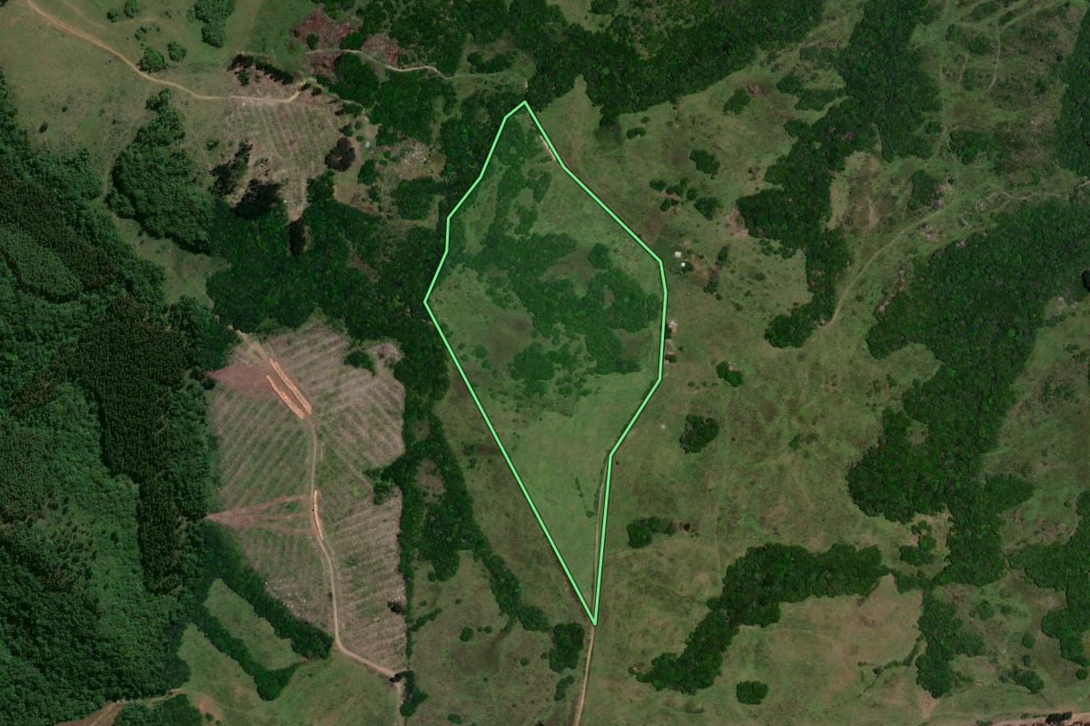 Imagem de satélite do imóvel rural em Encruzilhada do Sul (RS), com o contorno declarado no CAR desenhado por cima.