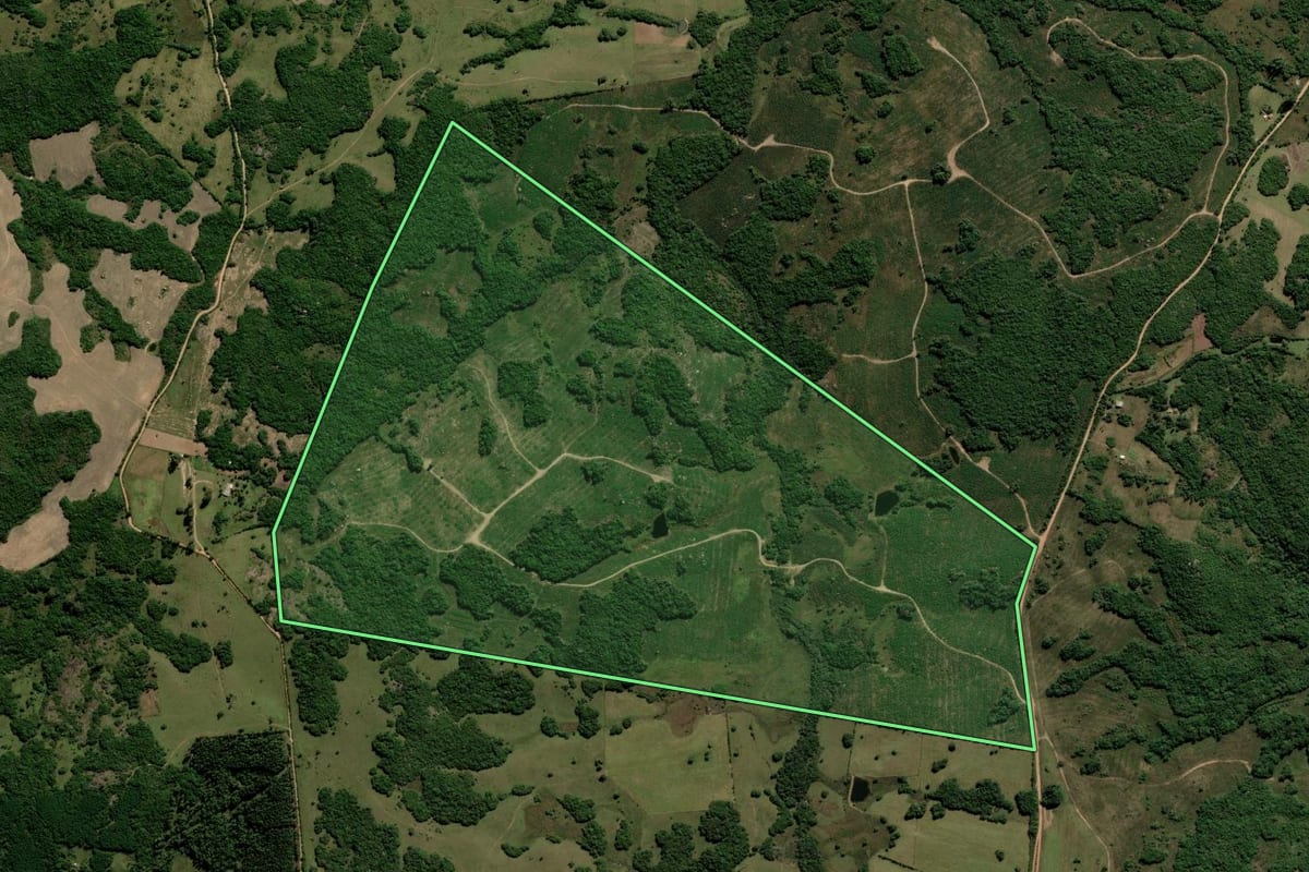 Imagem de satélite do imóvel rural em Encruzilhada do Sul (RS), com o contorno declarado no CAR desenhado por cima.