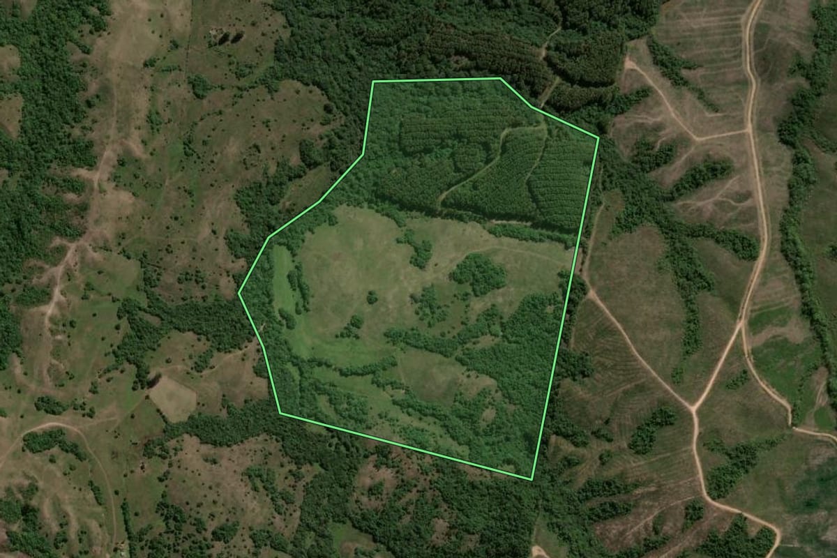 Imagem de satélite do imóvel rural em Encruzilhada do Sul (RS), com o contorno declarado no CAR desenhado por cima.