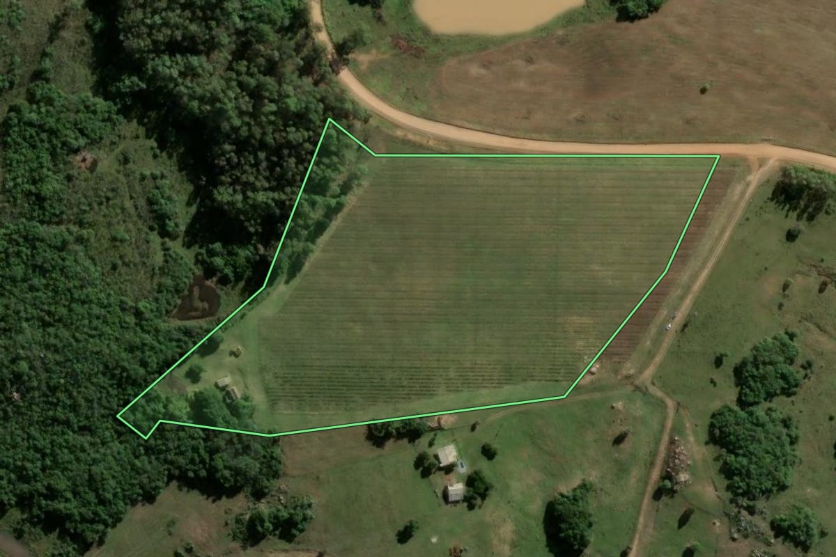 Imagem de satélite do imóvel rural em Encruzilhada do Sul (RS), com o contorno declarado no CAR desenhado por cima.