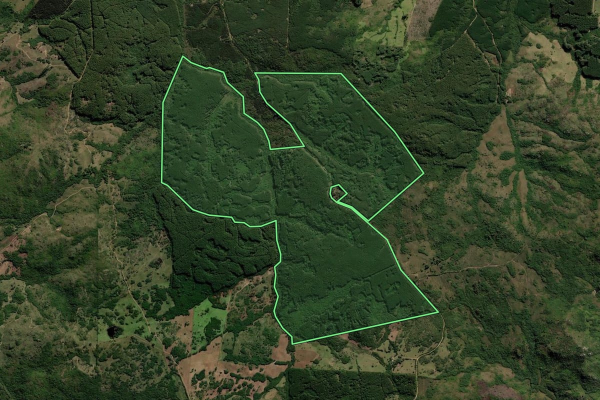 Imagem de satélite do imóvel rural em Encruzilhada do Sul (RS), com o contorno declarado no CAR desenhado por cima.