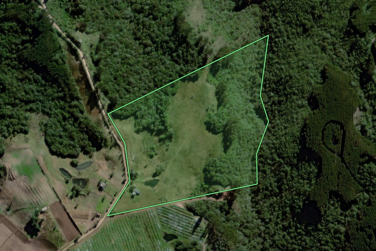 Imagem de satélite do imóvel rural em Encruzilhada do Sul (RS), com o contorno declarado no CAR desenhado por cima.