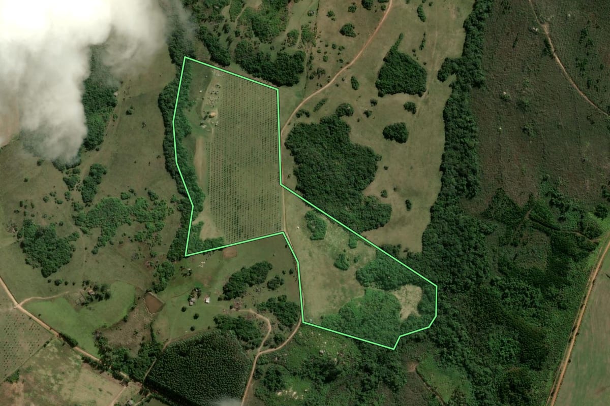 Imagem de satélite do imóvel rural em Encruzilhada do Sul (RS), com o contorno declarado no CAR desenhado por cima.