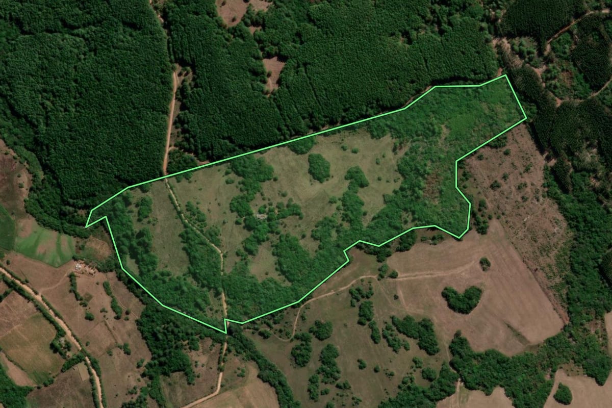 Imagem de satélite do imóvel rural em Encruzilhada do Sul (RS), com o contorno declarado no CAR desenhado por cima.