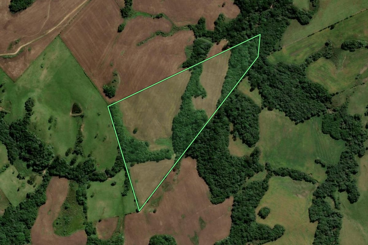 Imagem de satélite do imóvel rural em Encruzilhada do Sul (RS), com o contorno declarado no CAR desenhado por cima.