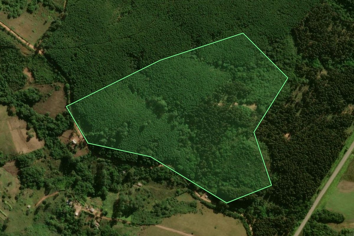 Imagem de satélite do imóvel rural em Encruzilhada do Sul (RS), com o contorno declarado no CAR desenhado por cima.