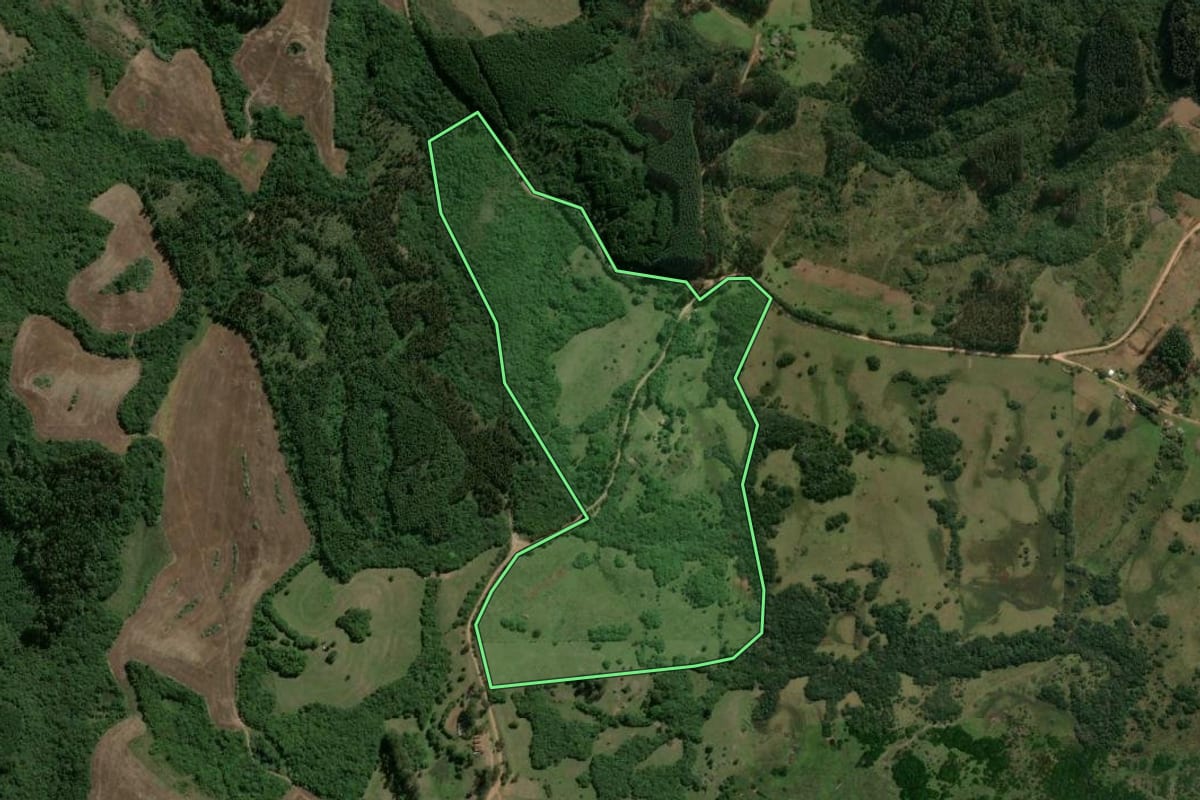 Imagem de satélite do imóvel rural em Encruzilhada do Sul (RS), com o contorno declarado no CAR desenhado por cima.
