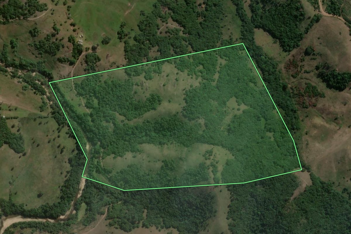 Imagem de satélite do imóvel rural em Encruzilhada do Sul (RS), com o contorno declarado no CAR desenhado por cima.