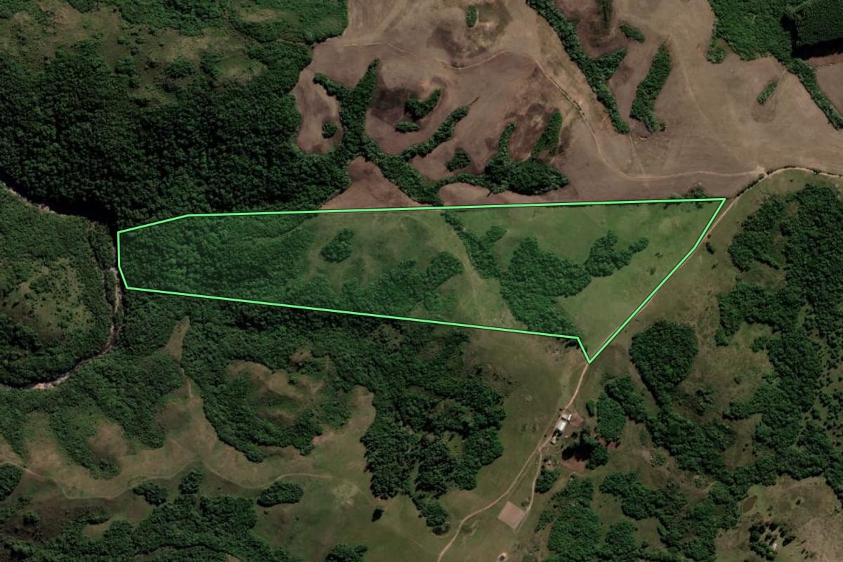 Imagem de satélite do imóvel rural em Encruzilhada do Sul (RS), com o contorno declarado no CAR desenhado por cima.