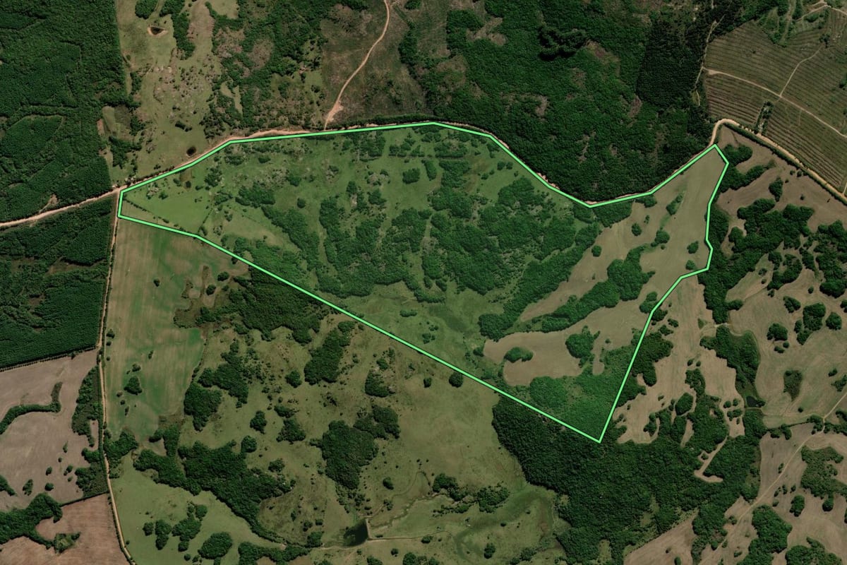 Imagem de satélite do imóvel rural em Encruzilhada do Sul (RS), com o contorno declarado no CAR desenhado por cima.