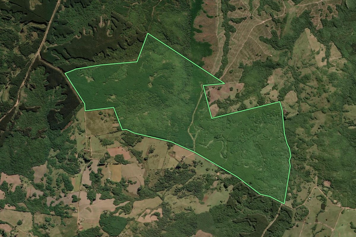 Imagem de satélite do imóvel rural em Encruzilhada do Sul (RS), com o contorno declarado no CAR desenhado por cima.