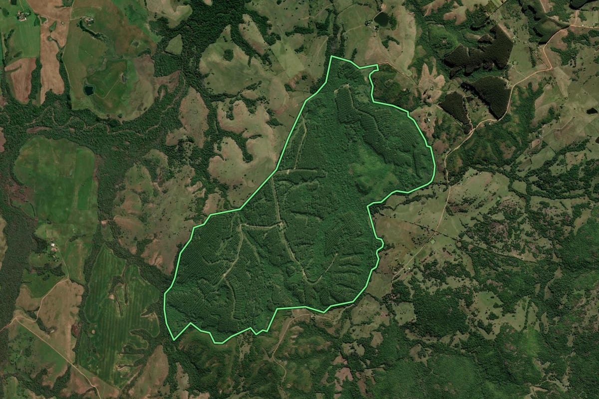 Imagem de satélite do imóvel rural em Encruzilhada do Sul (RS), com o contorno declarado no CAR desenhado por cima.
