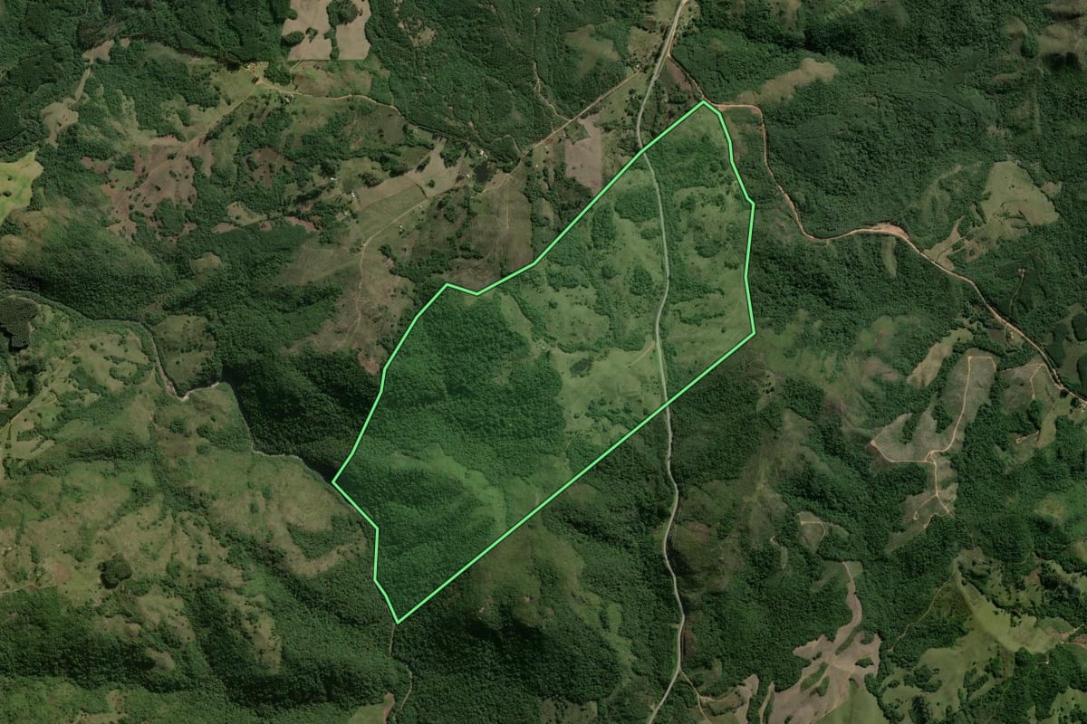 Imagem de satélite do imóvel rural em Encruzilhada do Sul (RS), com o contorno declarado no CAR desenhado por cima.