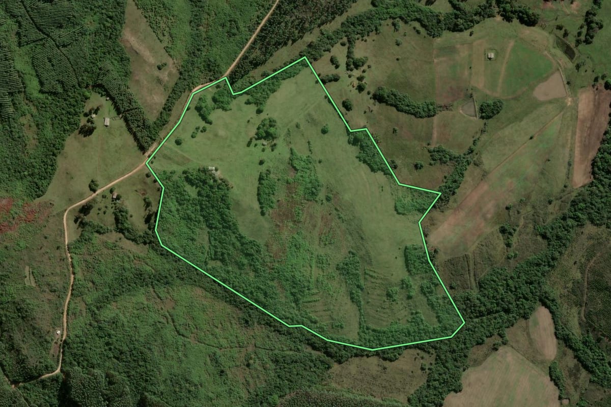 Imagem de satélite do imóvel rural em Encruzilhada do Sul (RS), com o contorno declarado no CAR desenhado por cima.