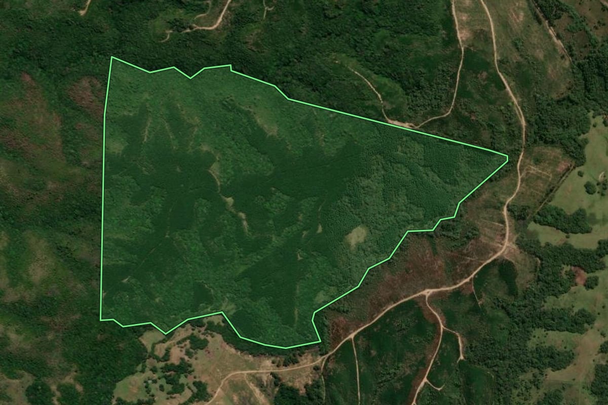 Imagem de satélite do imóvel rural em Encruzilhada do Sul (RS), com o contorno declarado no CAR desenhado por cima.