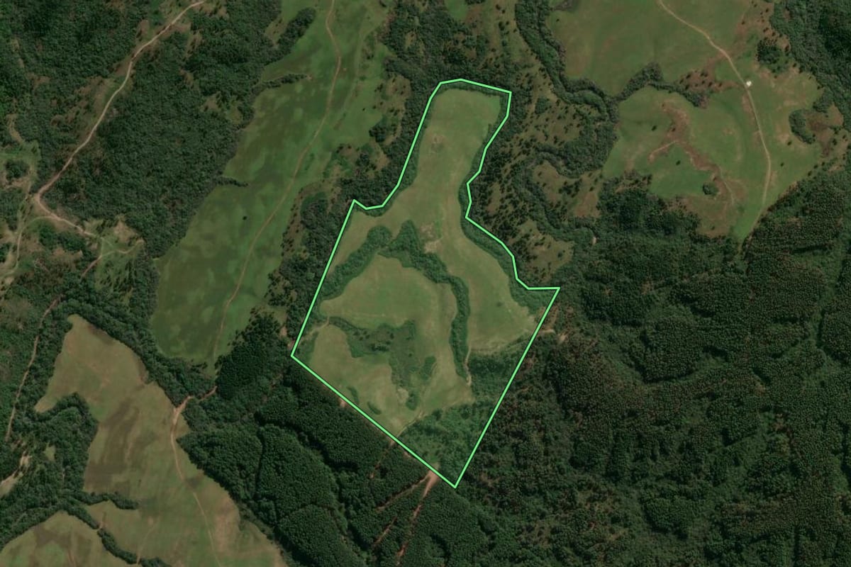 Imagem de satélite do imóvel rural em Encruzilhada do Sul (RS), com o contorno declarado no CAR desenhado por cima.