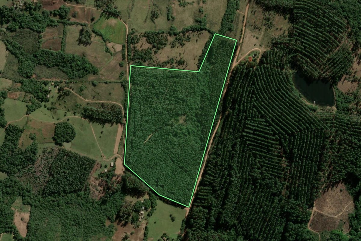 Imagem de satélite do imóvel rural em Encruzilhada do Sul (RS), com o contorno declarado no CAR desenhado por cima.