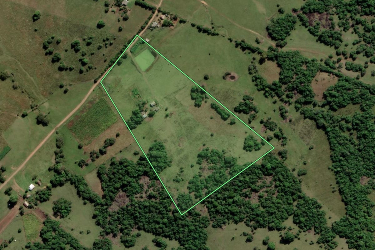 Imagem de satélite do imóvel rural em Encruzilhada do Sul (RS), com o contorno declarado no CAR desenhado por cima.
