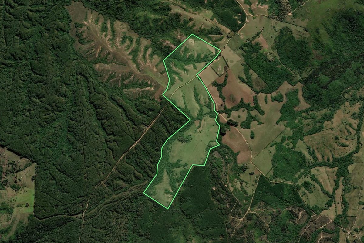 Imagem de satélite do imóvel rural em Encruzilhada do Sul (RS), com o contorno declarado no CAR desenhado por cima.