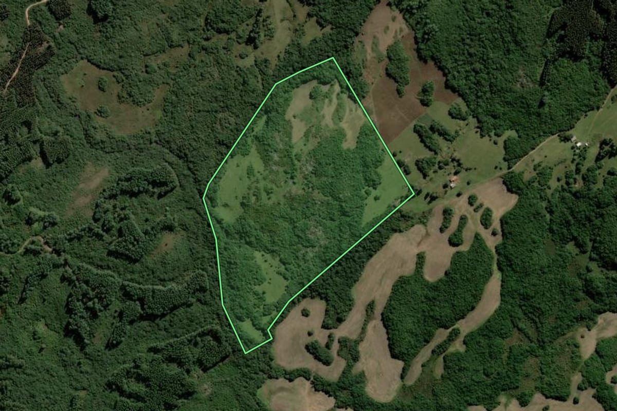 Imagem de satélite do imóvel rural em Encruzilhada do Sul (RS), com o contorno declarado no CAR desenhado por cima.