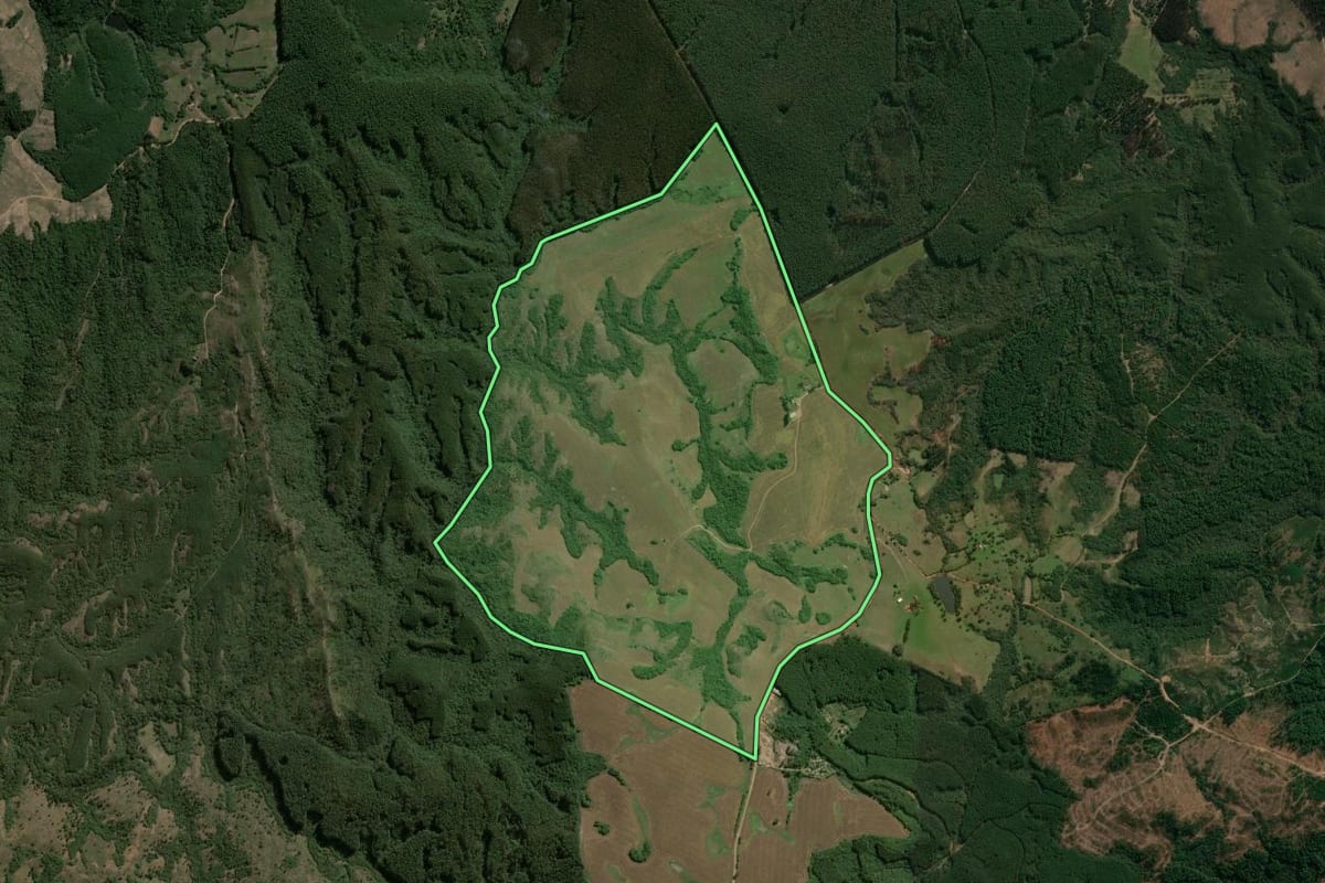 Imagem de satélite do imóvel rural em Encruzilhada do Sul (RS), com o contorno declarado no CAR desenhado por cima.