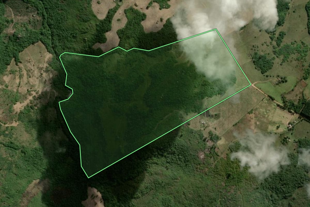 Imagem de satélite do imóvel rural em Encruzilhada do Sul (RS), com o contorno declarado no CAR desenhado por cima.