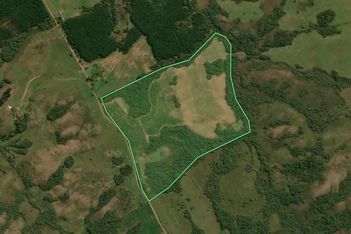 Imagem de satélite do imóvel rural em Encruzilhada do Sul (RS), com o contorno declarado no CAR desenhado por cima.