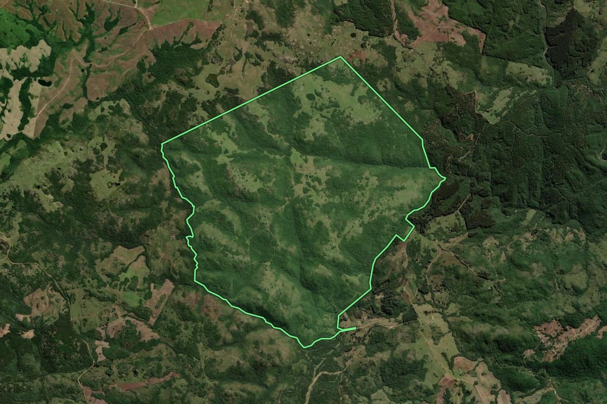 Imagem de satélite do imóvel rural em Encruzilhada do Sul (RS), com o contorno declarado no CAR desenhado por cima.